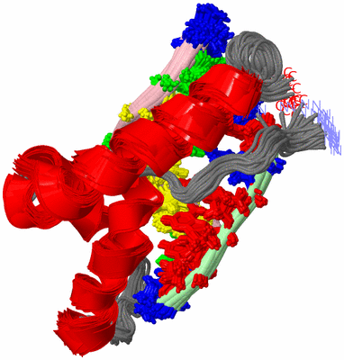 Image NMR Structure - all models