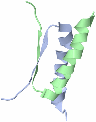 Image NMR Structure - model 1