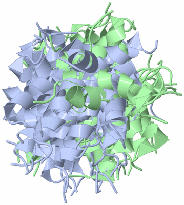 Image NMR Structure - all models