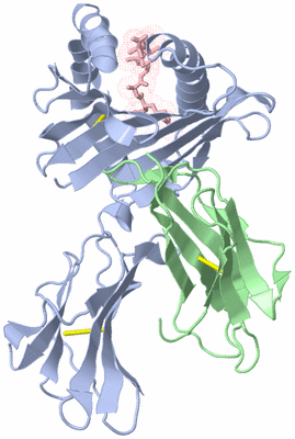 Image Biological Unit 1