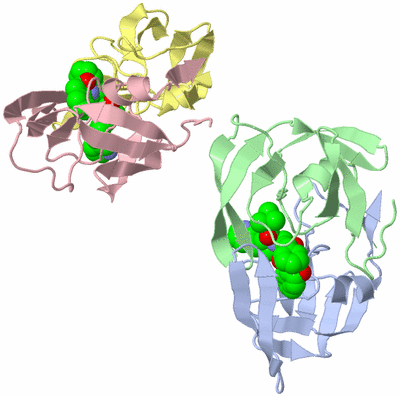 Image Asymmetric Unit