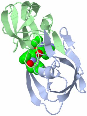 Image Biological Unit 1