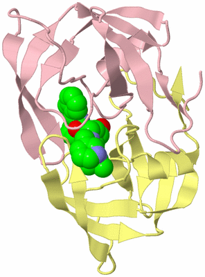 Image Biological Unit 2