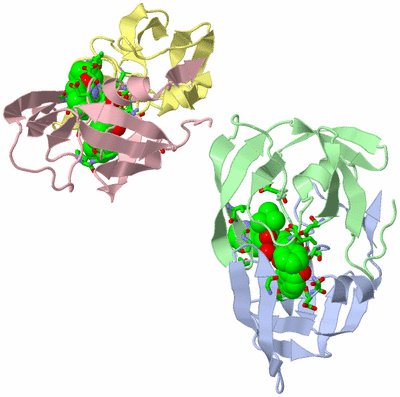 Image Asym. Unit - sites
