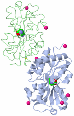 Image Asym./Biol. Unit
