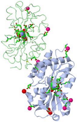 Image Asym./Biol. Unit - sites