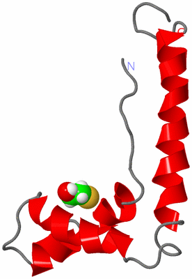 Image NMR Structure - model 1