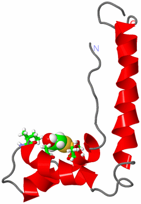 Image NMR Structure - model 1, sites