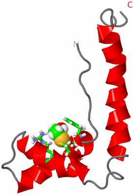 Image NMR Structure - model 1, sites