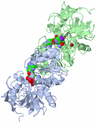 Image Asym./Biol. Unit