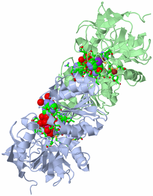 Image Asym./Biol. Unit - sites