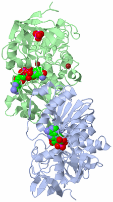 Image Asym./Biol. Unit