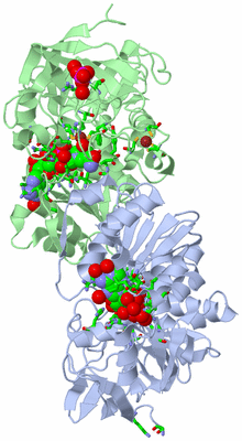 Image Asym./Biol. Unit - sites