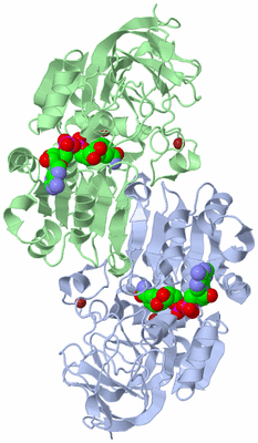 Image Asym./Biol. Unit