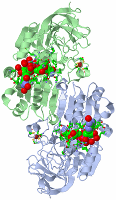 Image Asym./Biol. Unit - sites