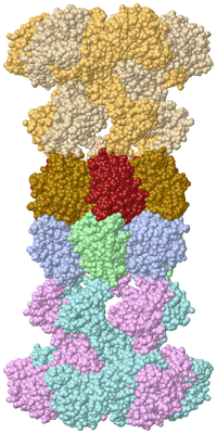 Image Biological Unit 1