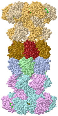 Image Biol. Unit 1 - sites