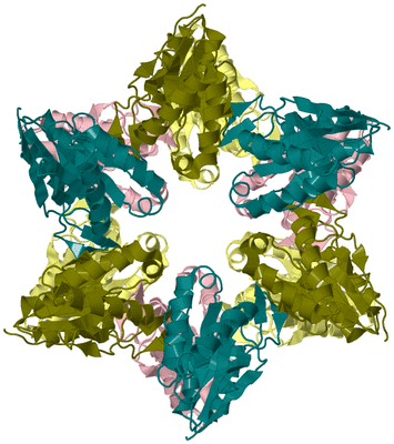 Image Biological Unit 2