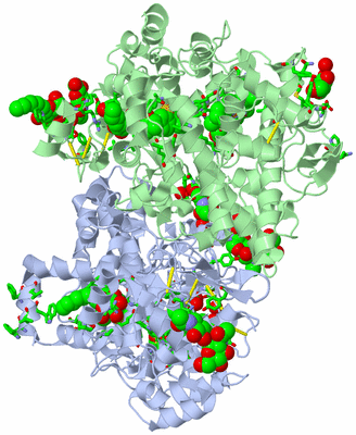 Image Asym./Biol. Unit - sites