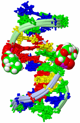 Image NMR Structure - all models