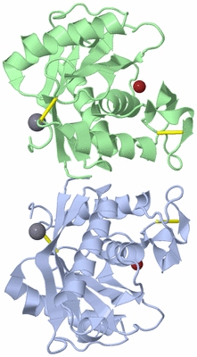 Image Asym./Biol. Unit