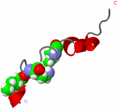 Image NMR Structure - model 1