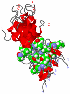 Image NMR Structure - all models