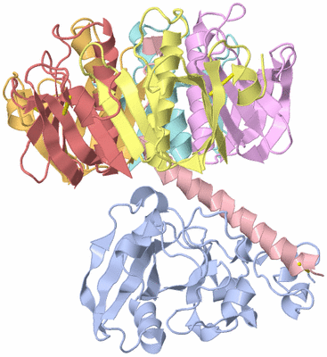 Image Asym./Biol. Unit