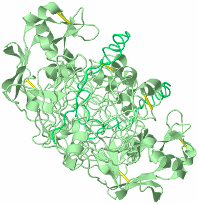 Image Biological Unit 1