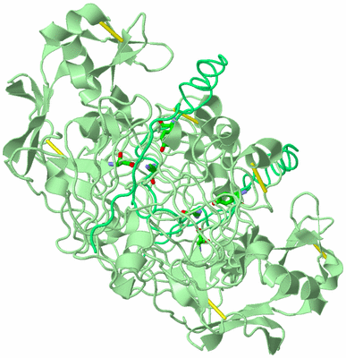 Image Biol. Unit 1 - sites