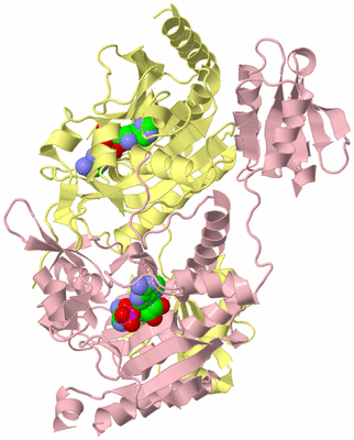 Image Biological Unit 2