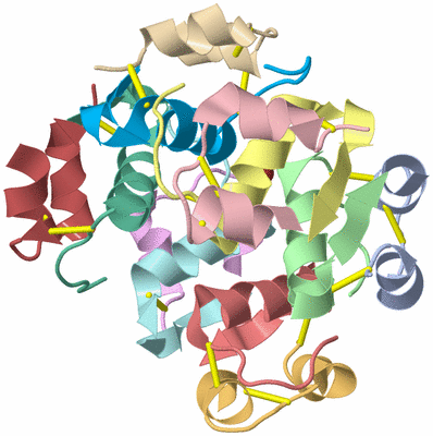 Image Asym./Biol. Unit