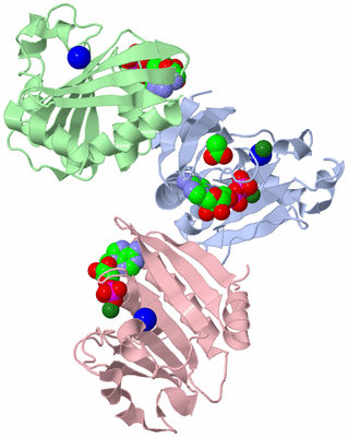 Image Asymmetric Unit