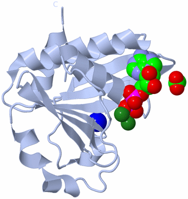 Image Biological Unit 1