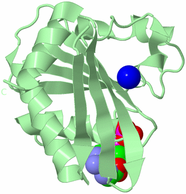 Image Biological Unit 2