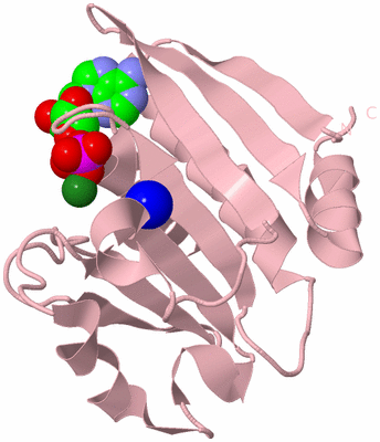 Image Biological Unit 3