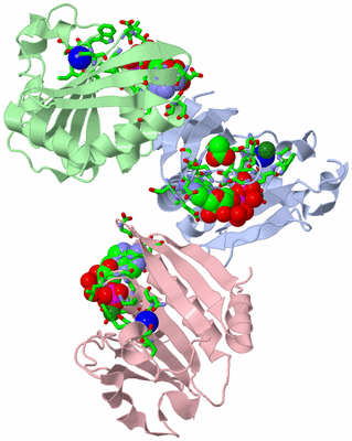 Image Asym. Unit - sites