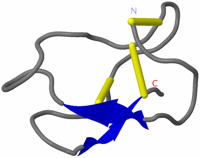 Image NMR Structure - model 1