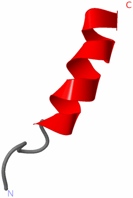 Image NMR Structure - model 1