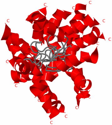 Image NMR Structure - all models