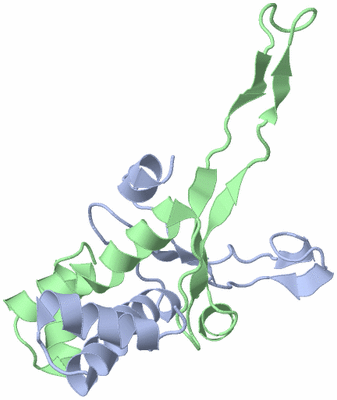 Image NMR Structure - model 1