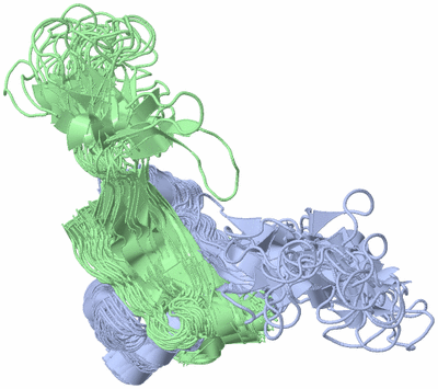 Image NMR Structure - all models