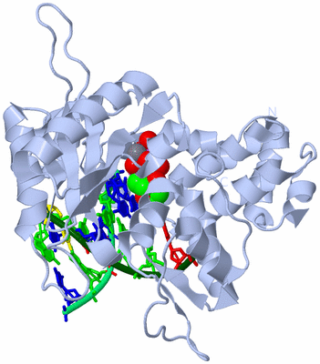 Image Biological Unit 1