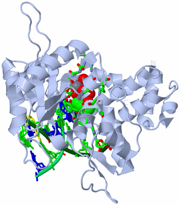 Image Biol. Unit 1 - sites