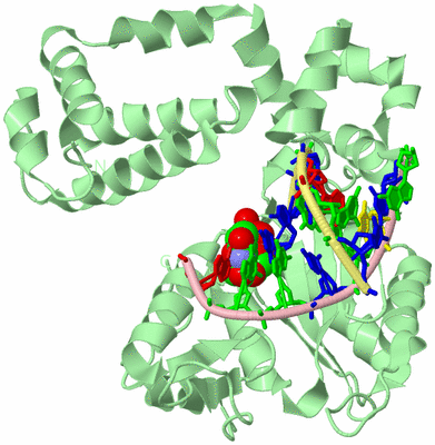 Image Biological Unit 2