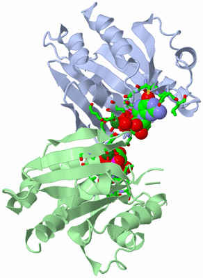 Image Asym./Biol. Unit - sites