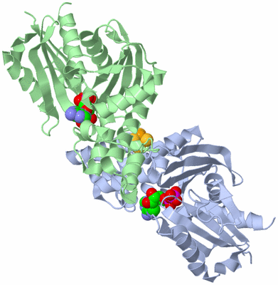 Image Asym./Biol. Unit