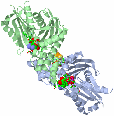 Image Asym./Biol. Unit - sites