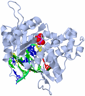 Image Biological Unit 1