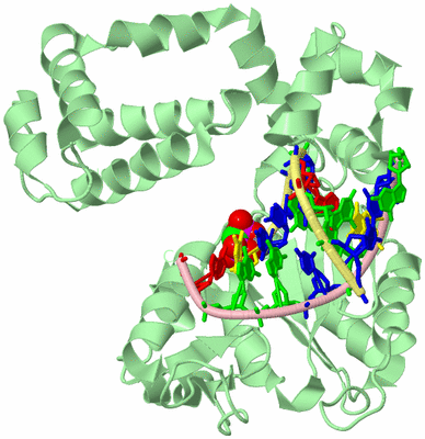 Image Biological Unit 2